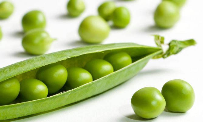 Arvejas, Guisantes o Chícharos Alimento